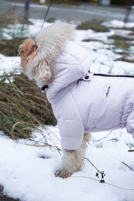 Zimowy kombinezon da psa, recznie szyty (szary, lilowy)