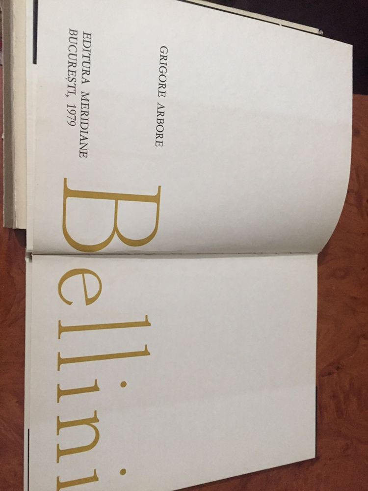 Книга о творчестве Беллини