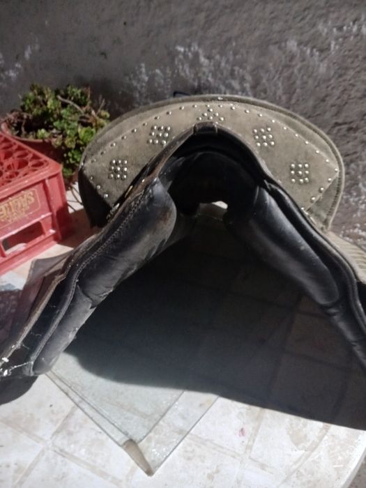 Sela  portuguesa  razoavel