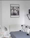 Plakat owca poster sleep good night design 50x70