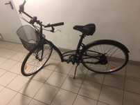 Rower b twin 28”