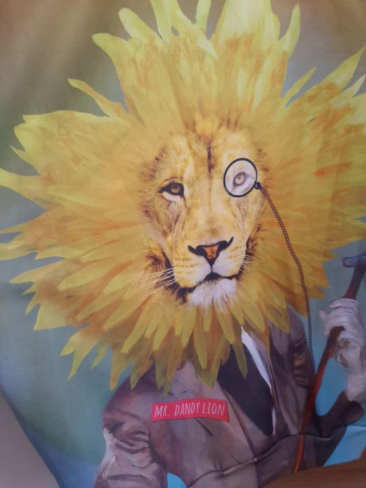 Bluza Mr. Gugu & Miss Go r M