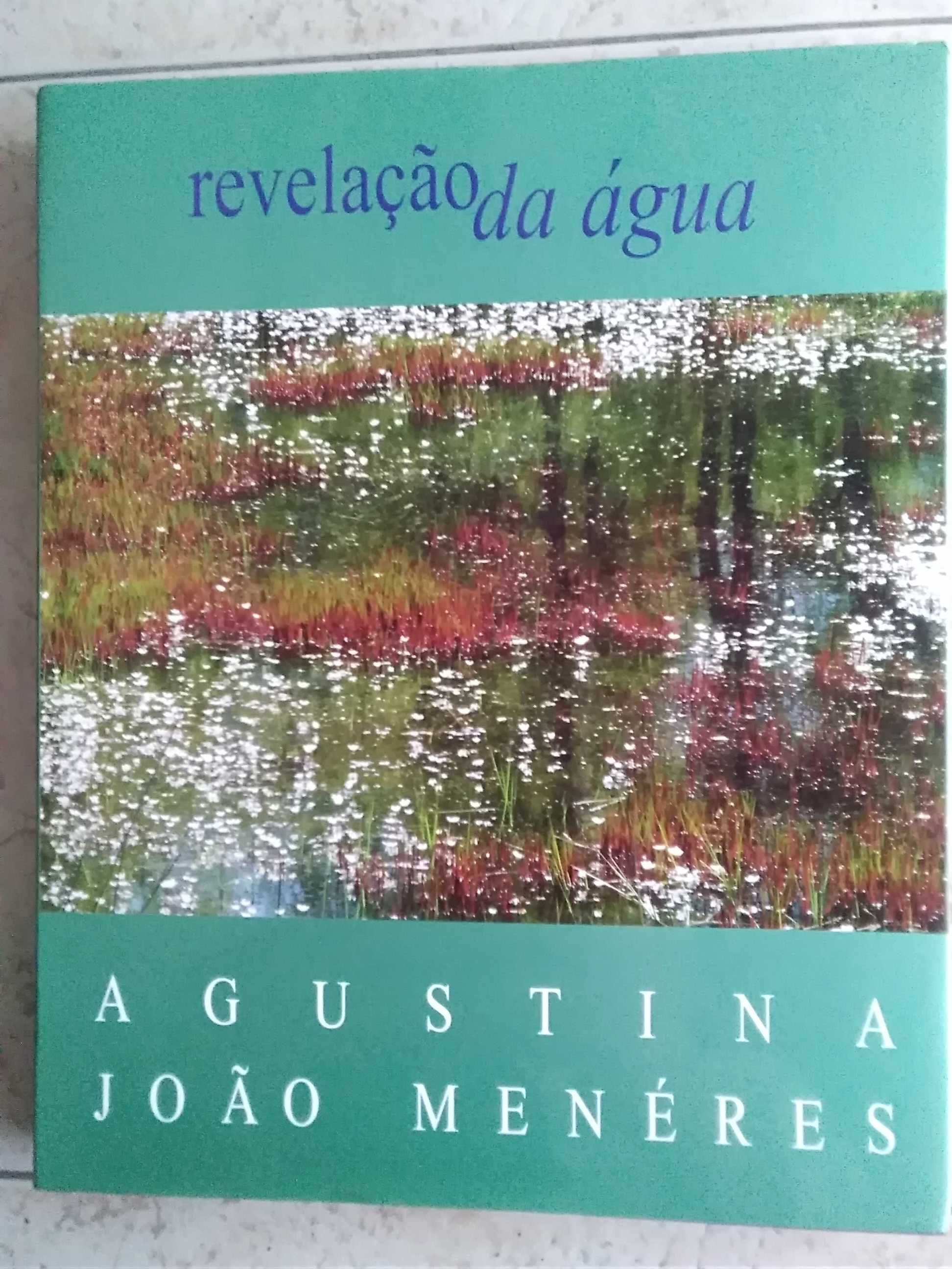 Revelação da Água de Agustina Bessa-Luís e João Menéres