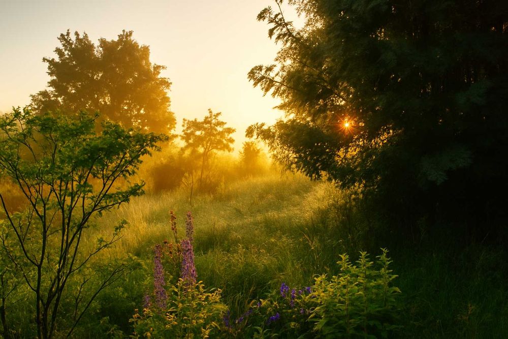 Działka w otulinie lasu – Gutkowo, 1800 m², 15 minut centrum Olsztyna