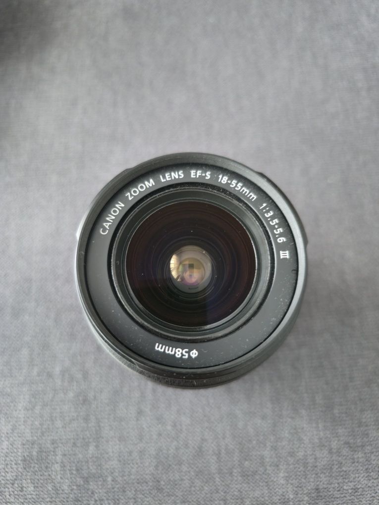 Canon EOS 250D + EF-S 18-55 mm IS STM