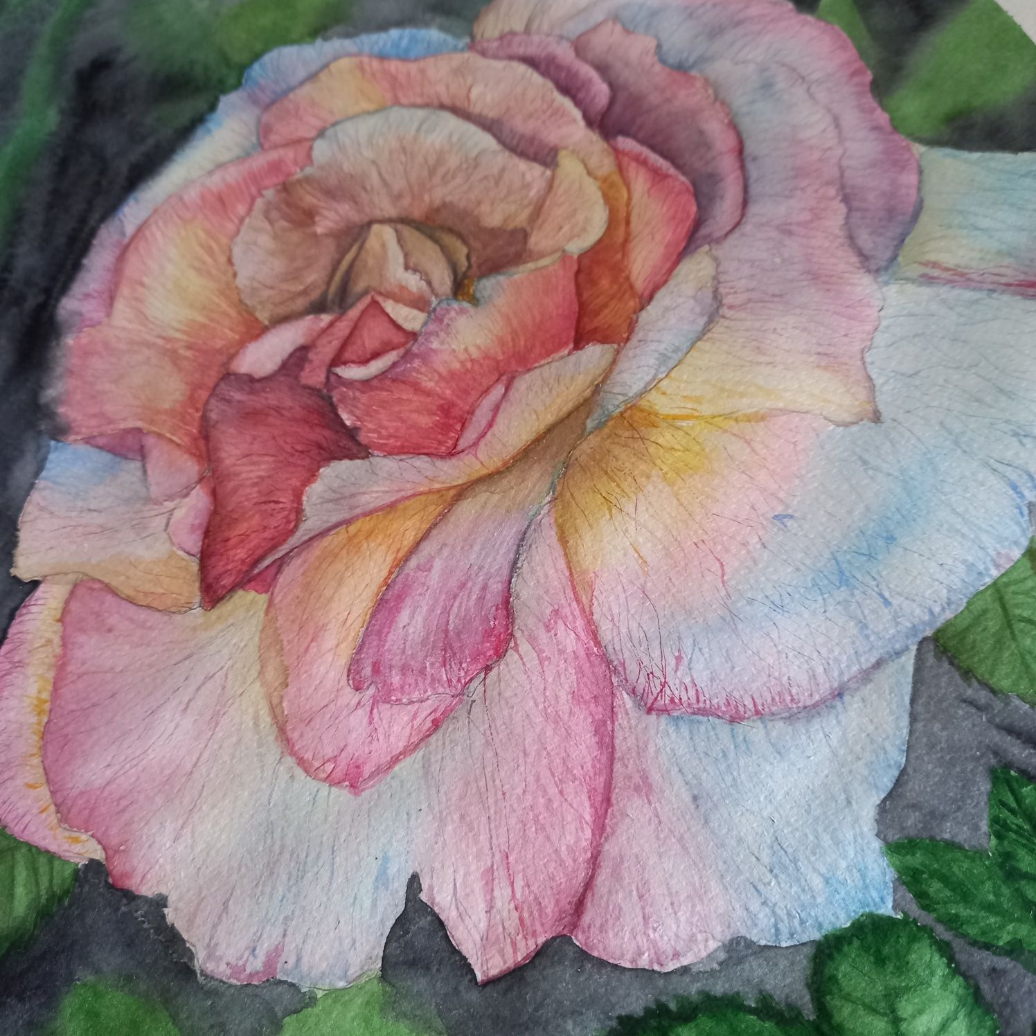 Картина "Роза", акварель