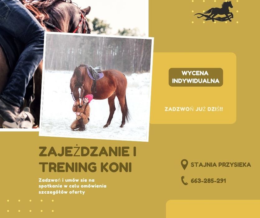 Trening Koni, Zajeżdzanie Koni