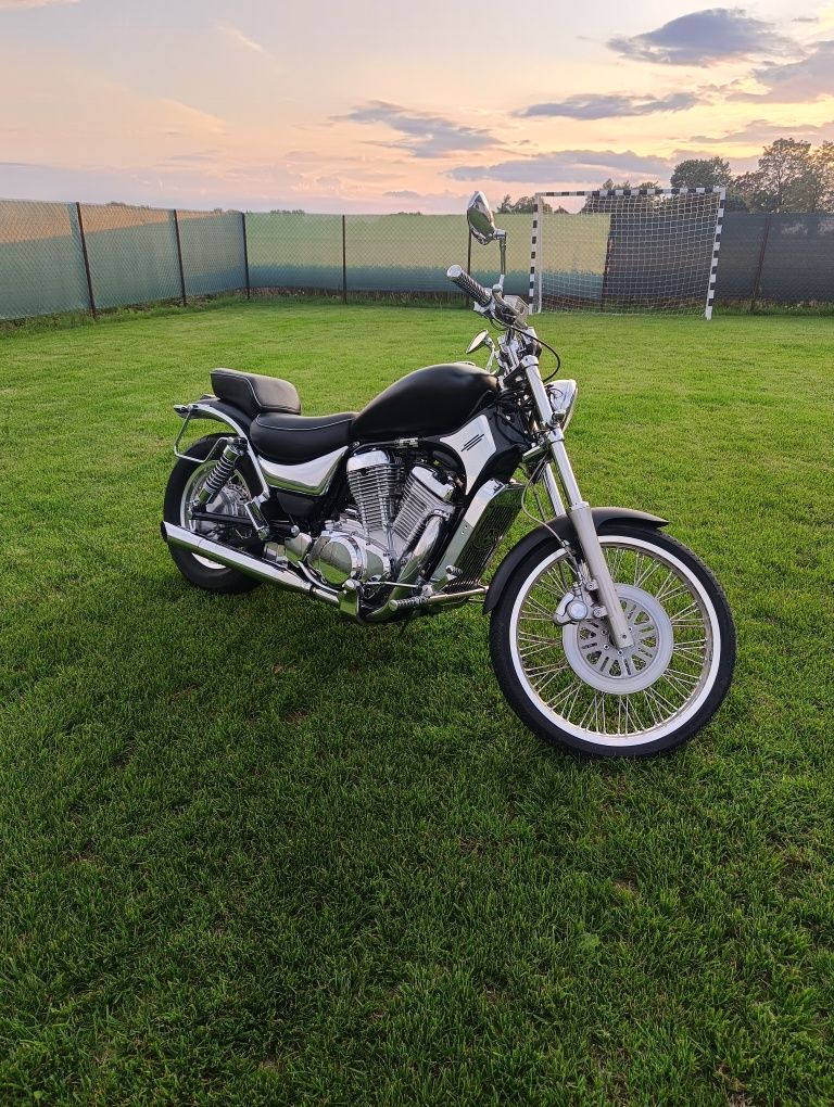 Suzuki Intruder vs 800 bobber.