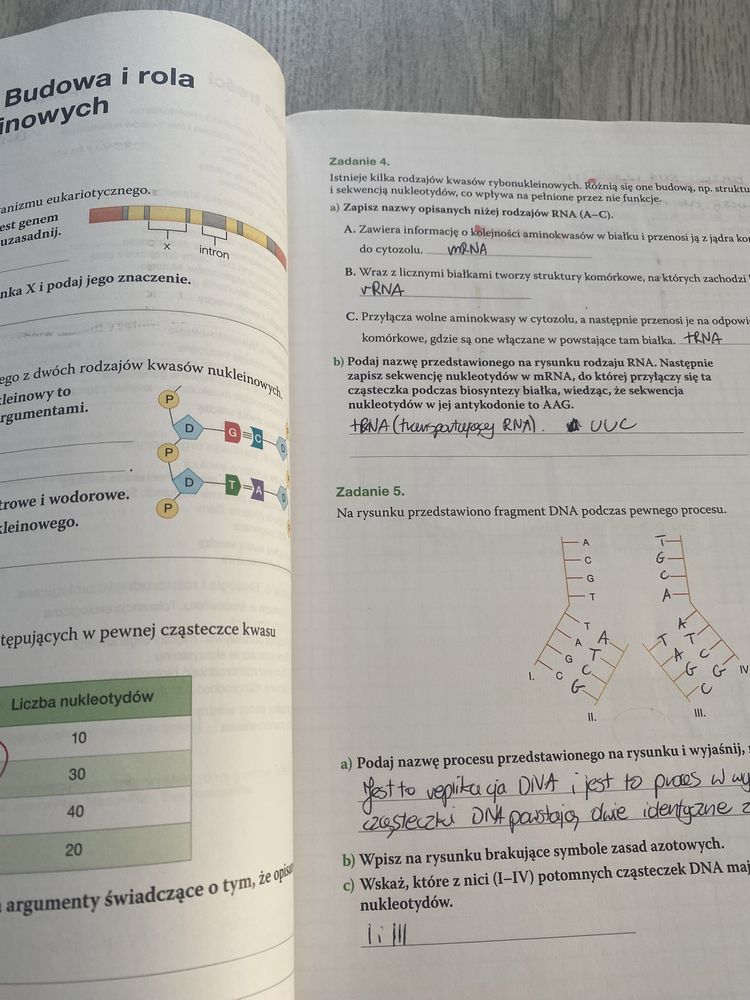 Karty pracy biologia na czasie 3