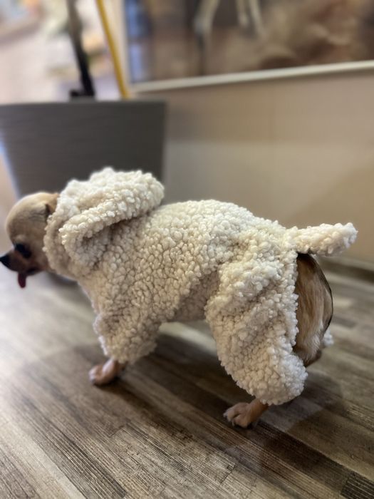 Одяг для маленьких собак