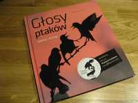 Głosy ptaków oglądaj i słuchaj audiobook Kruszewicz PTAKI ORNITOLOGIA