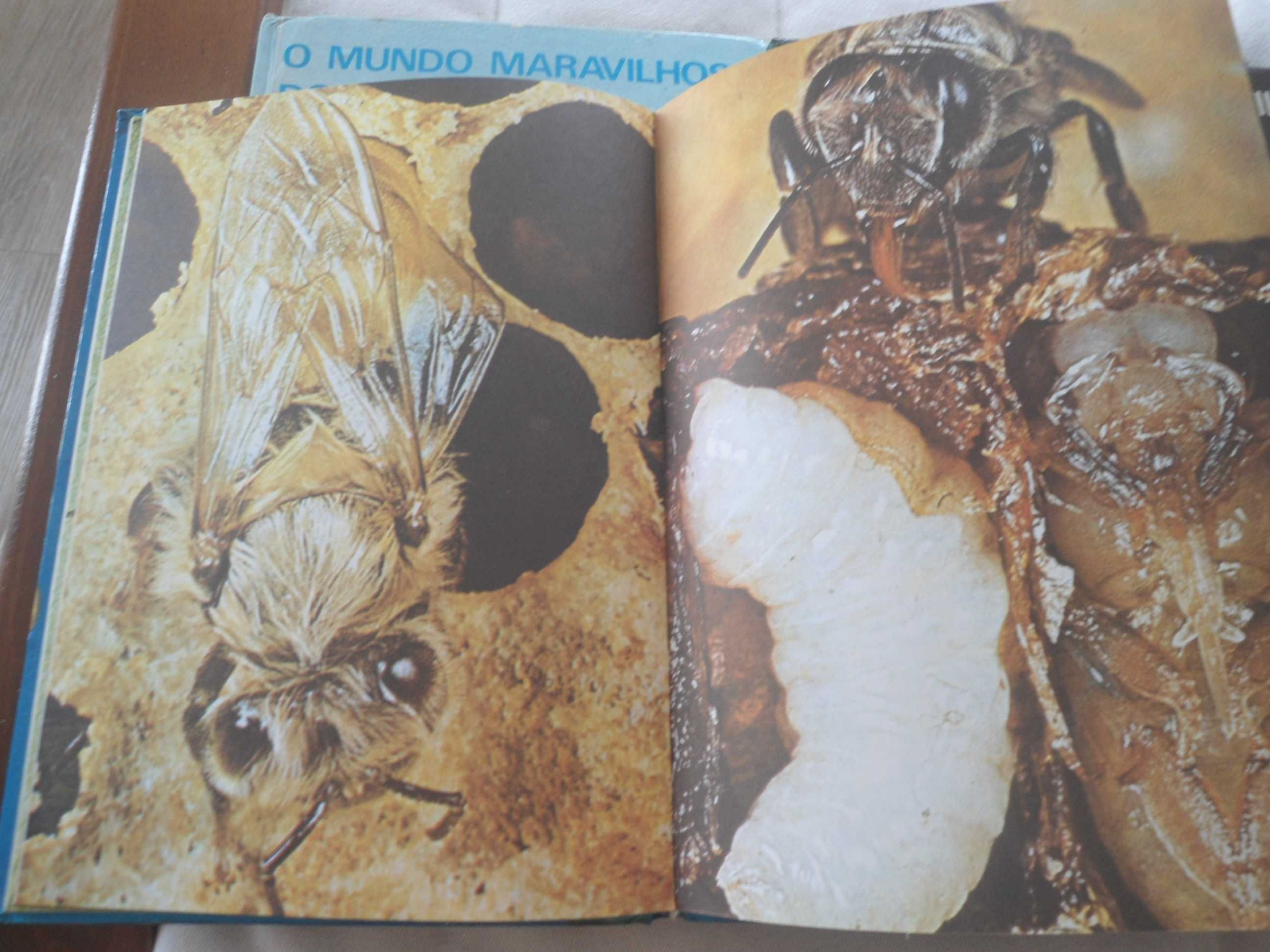 O Mundo Maravilhoso dos Animais