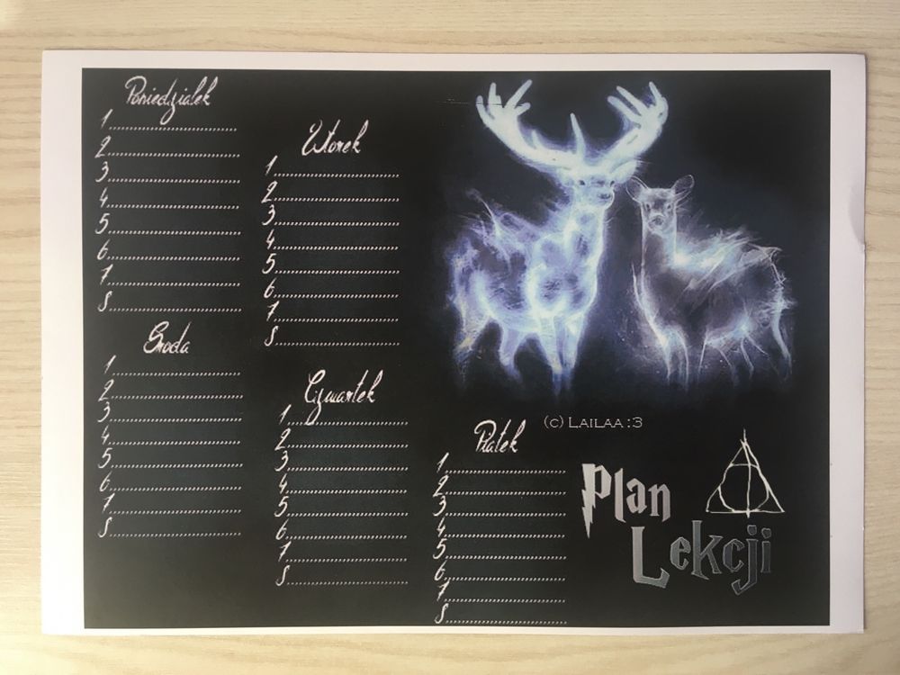 Plan lekcji Harry Potter