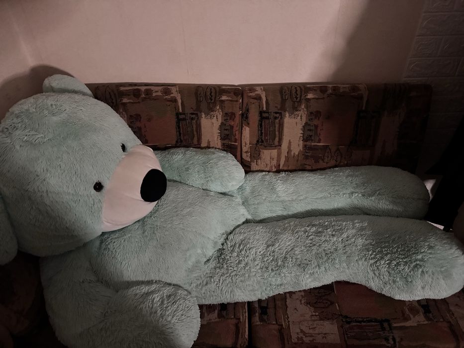 Віддам безкоштовно ведмедя