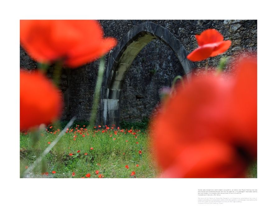 Fotografias decorativas - Portugal