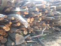 Drewno drzewo sezonowany  Buk gruba  gałęziówka transport gratis