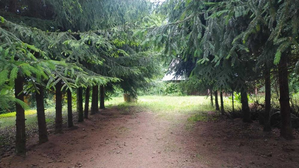 Siedlisko z gruntami ornymi