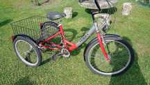 Bicicleta triciclo (3 rodas)