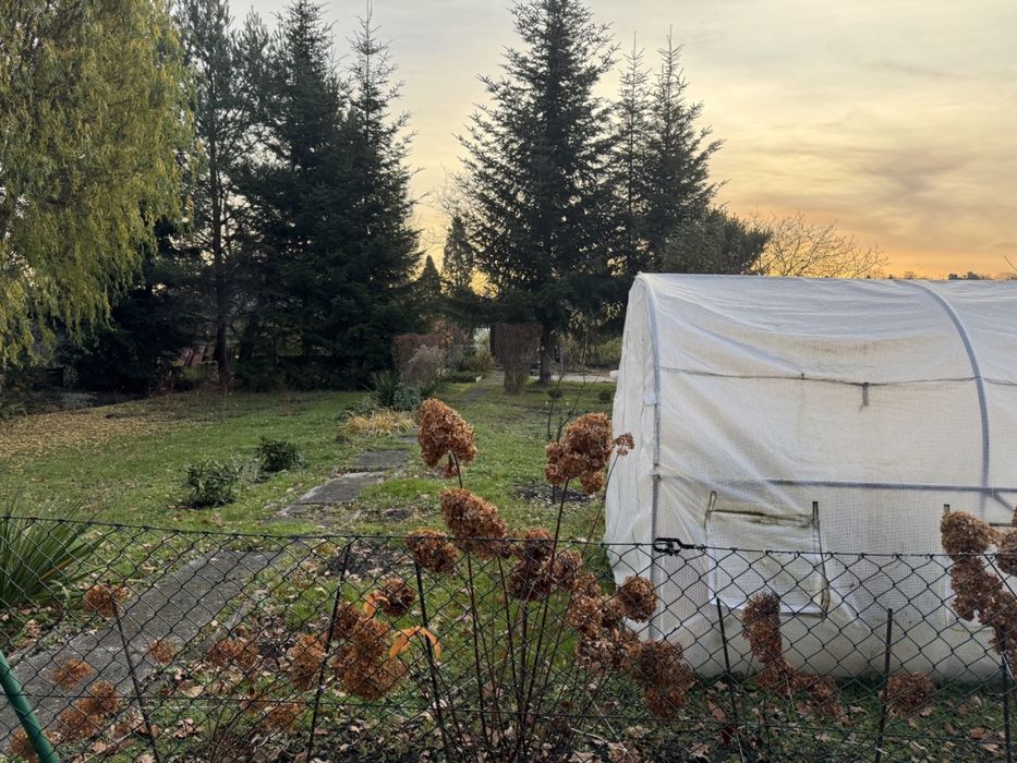 Działka w ROD „Pilczyce”