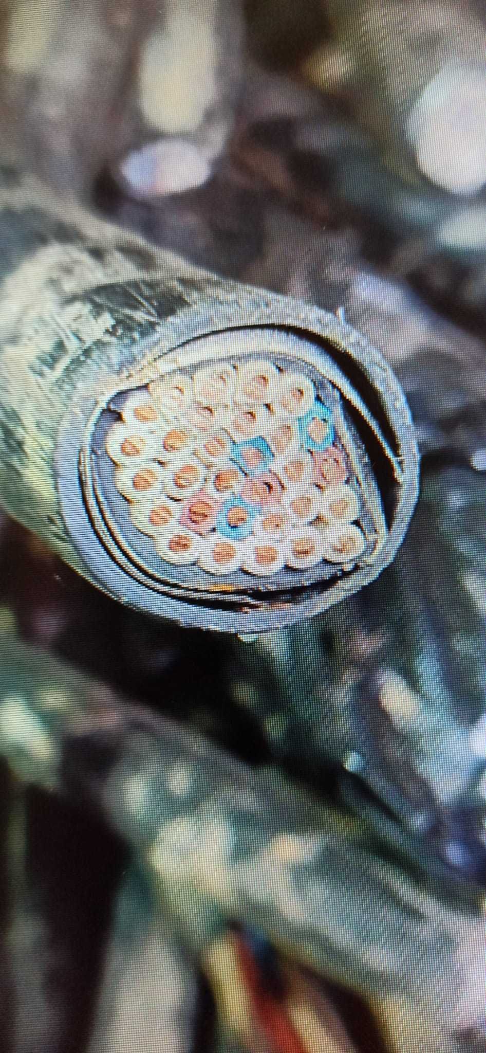 Skup kabli Zakład recyklingu ,najwyższe ceny, dojazd do klienta.