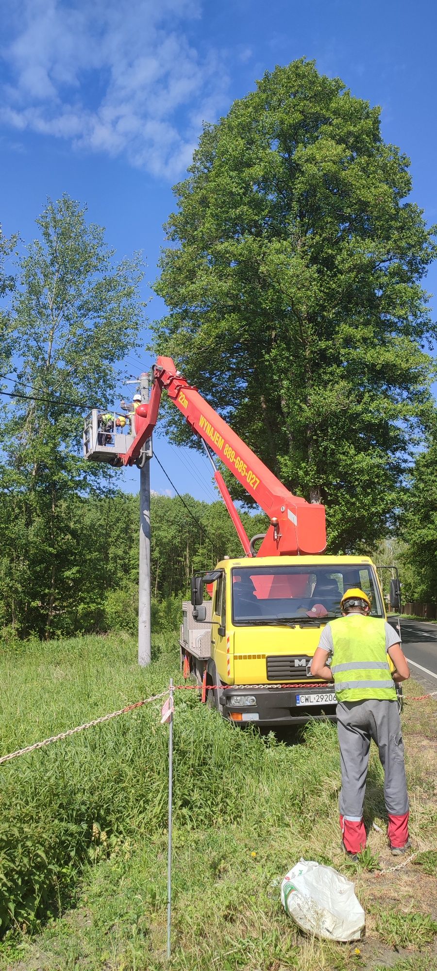 Podnośnik koszowy zwyżka  Włocławek  wynajem  wycinka drzew