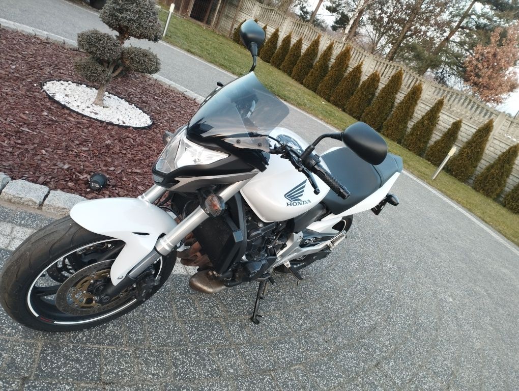 Honda CB 600F Hornet pc41
