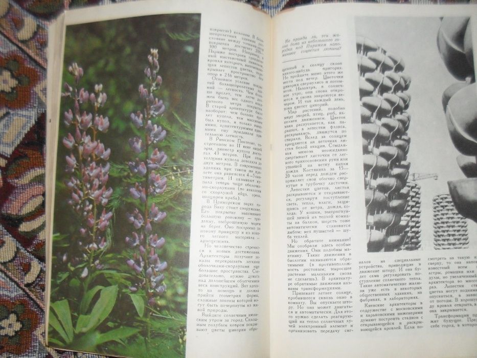 1977 г журнал "Юный натуралист" Советский СССР № 9 книжка книга
