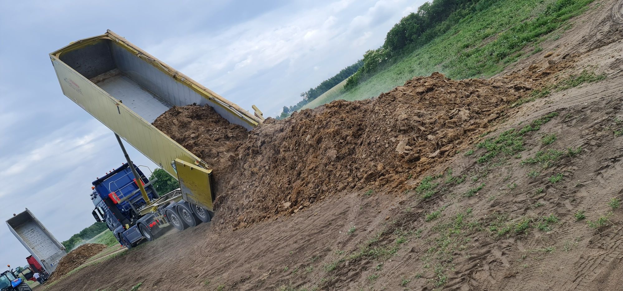 Obornik kurzak słomiasty, bobek, koński, bydlęcy