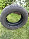 Opona debica frigo 2 M+S 205/55R16