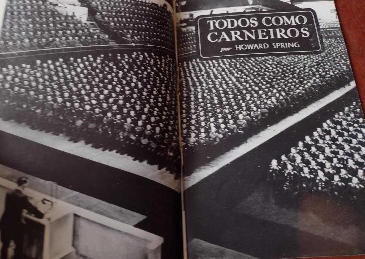 Todos como Carneiros - Howard Spring