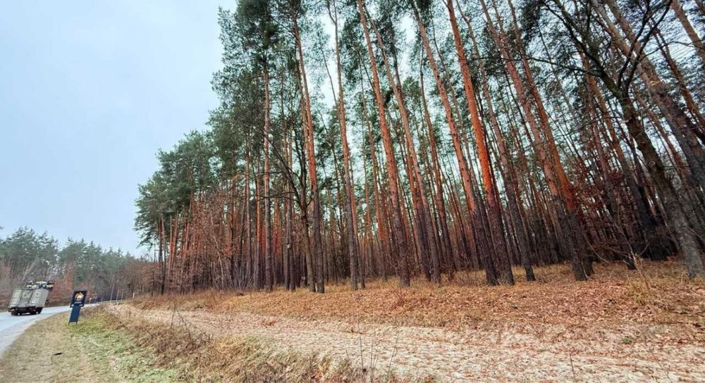 Продаж чудового масиву під забудову у Київській області