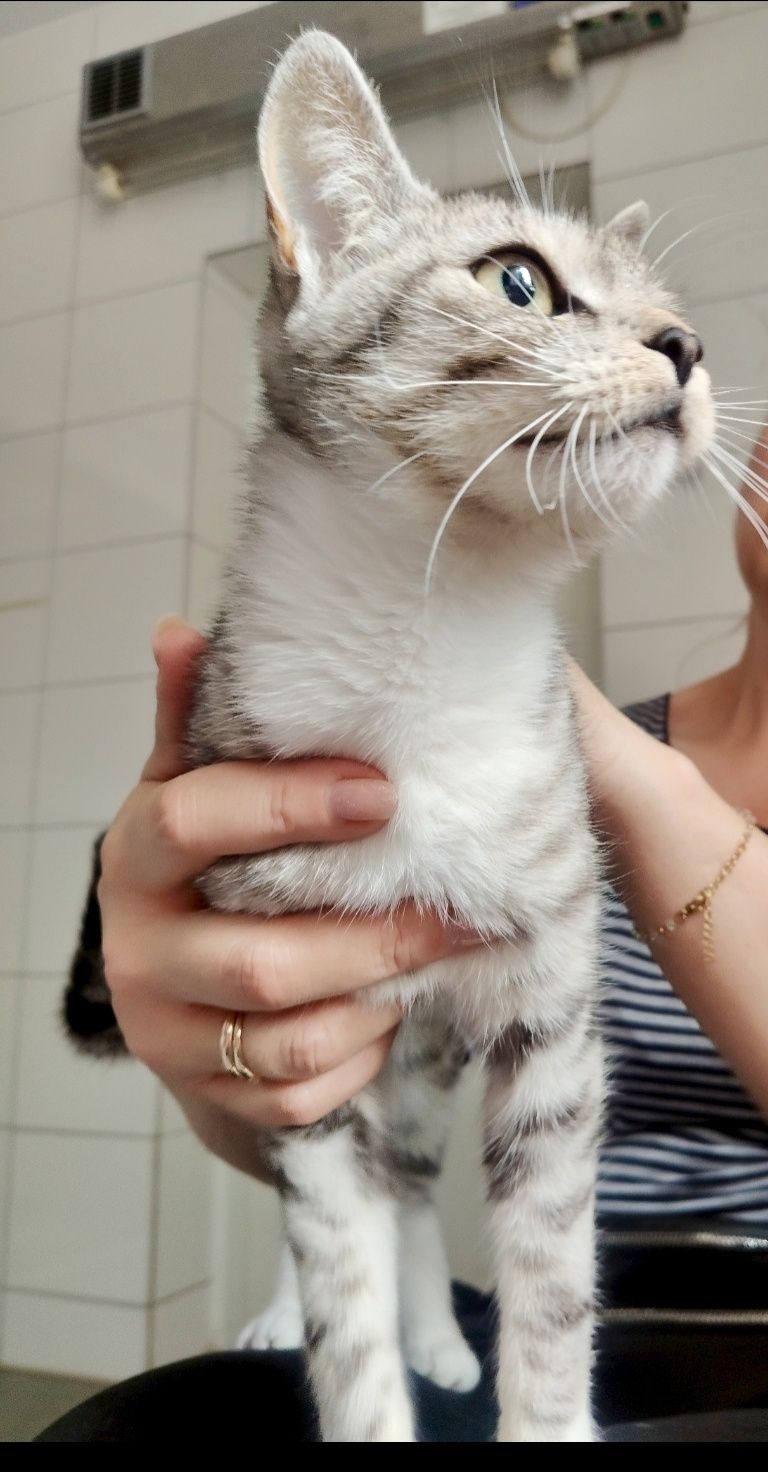Sylwia gorąco poleca się do adopcji :)