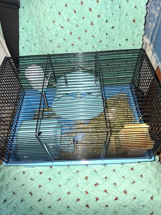 Хом'ячок джунгарик з кліткою. Клітка для хом'яка