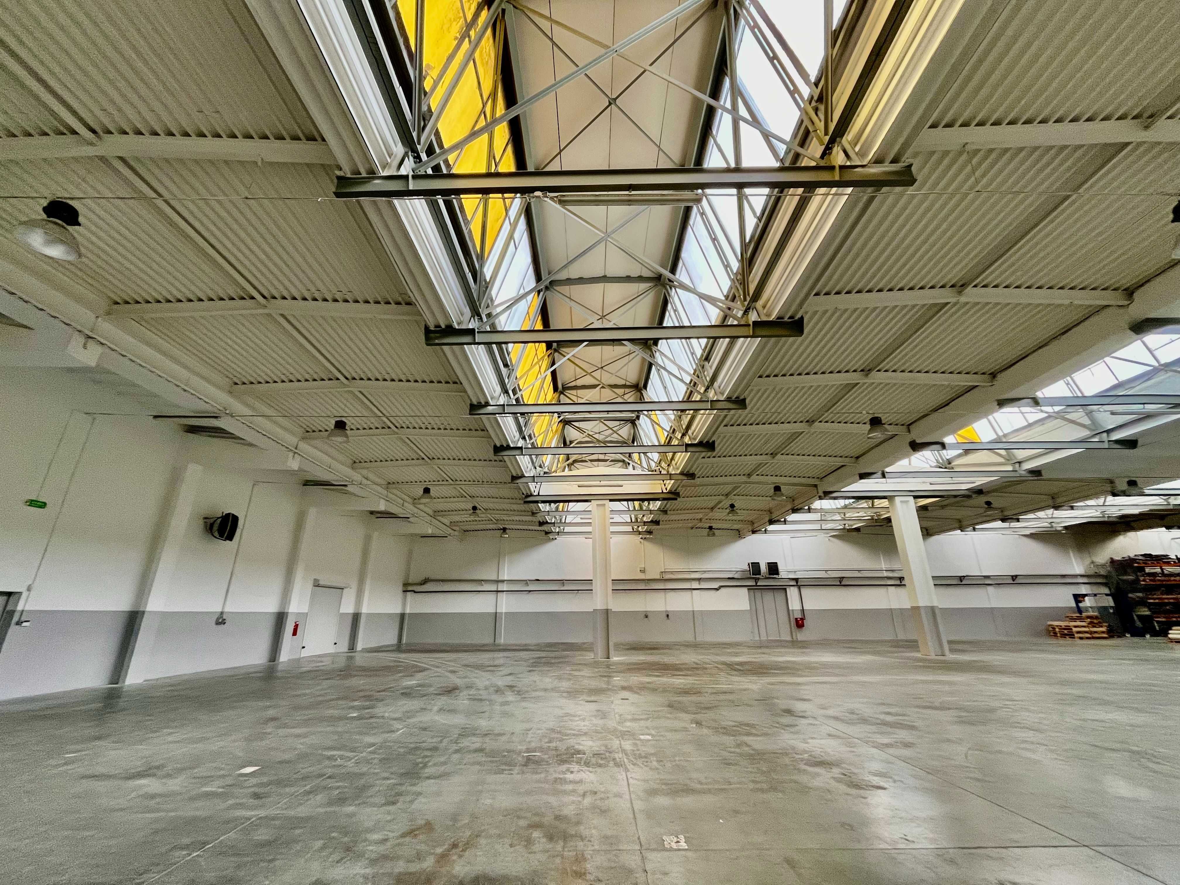 Hala produkcyjno-magazynowa 2643 m2 na Teofilowie