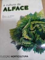 vendo livro A cultura da alface