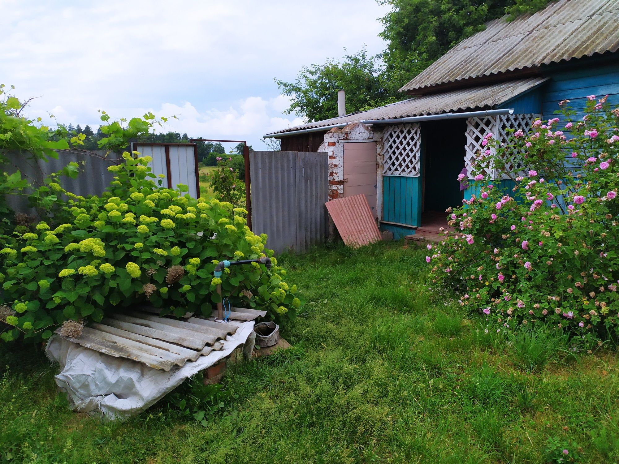 Продається будинок в селі