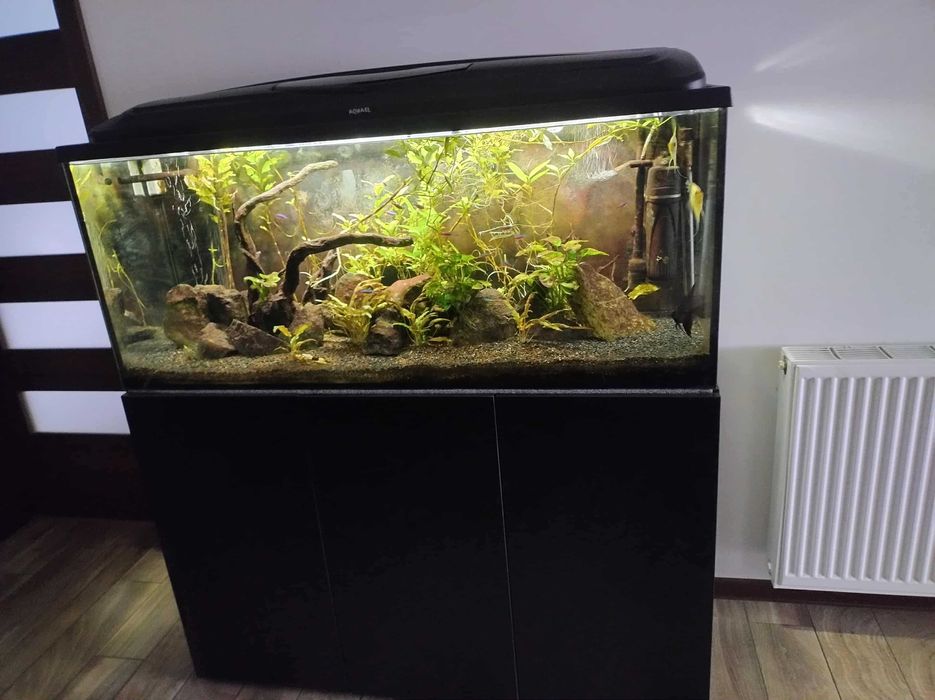 Akwarium 120 x 40 x 50 (h) cm + akcesoria