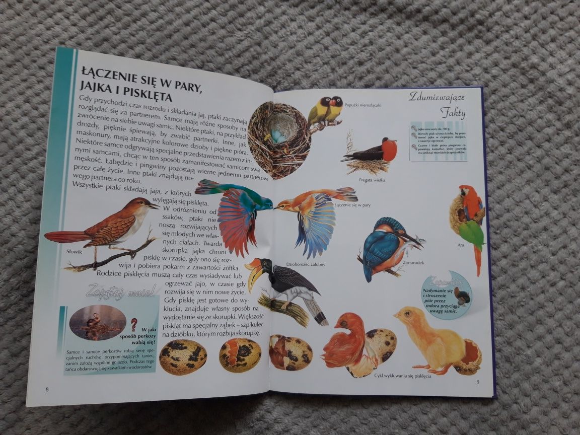 Leksykon wiedzy Ptaki encyklopedia przyrodnicza