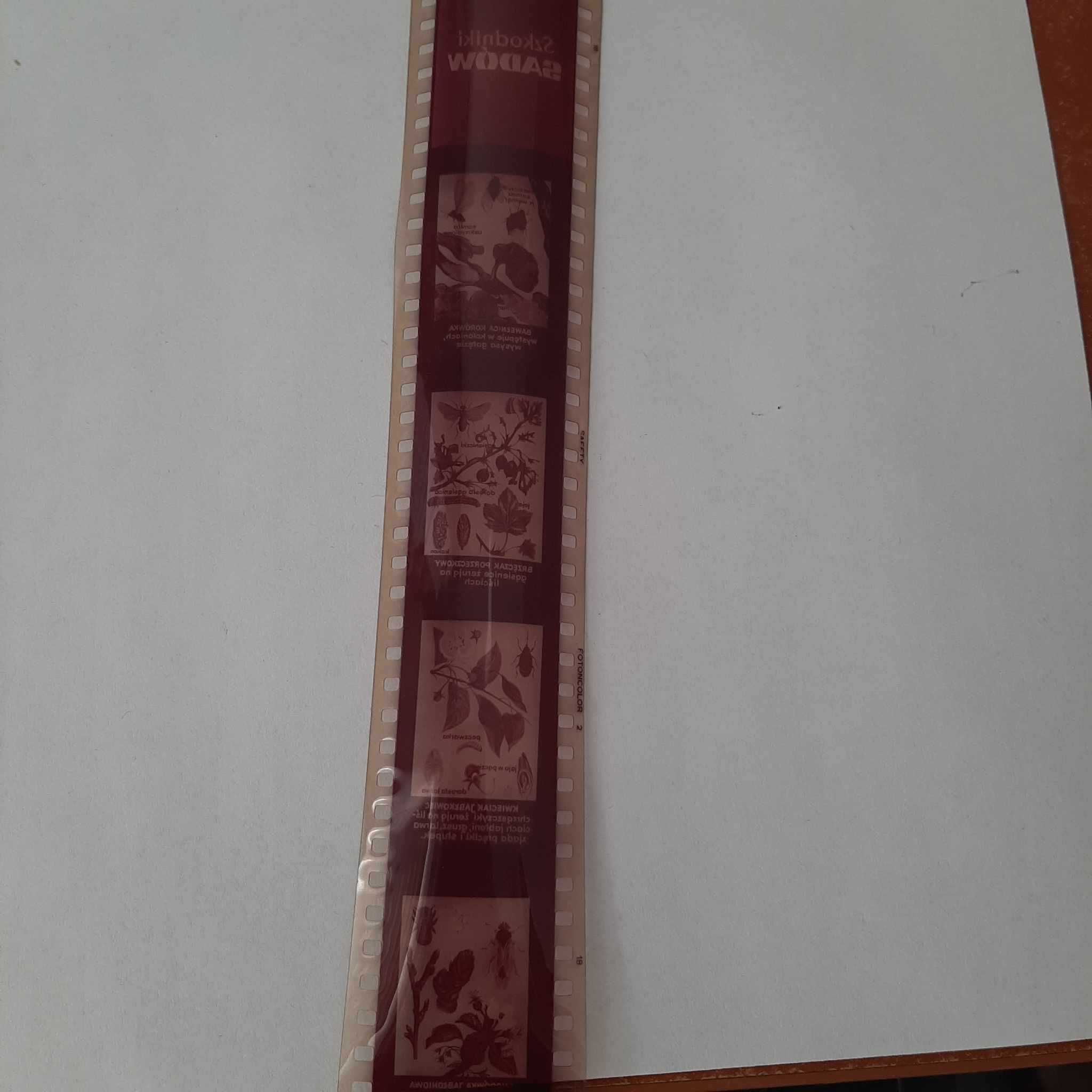 Filmy na rzutnik Ania Rośliny,  szkodniki  szt.6