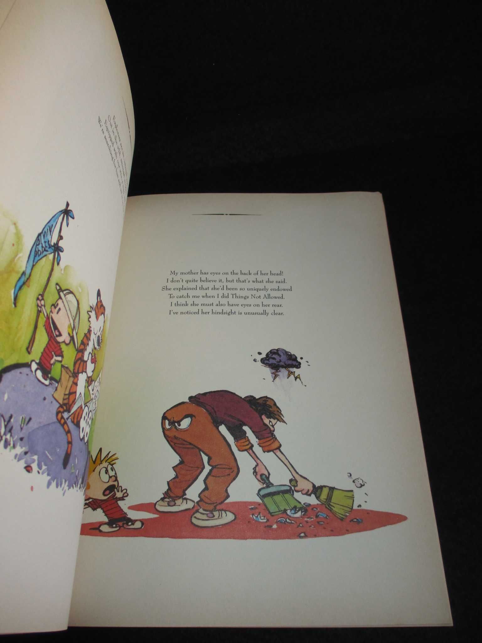 Livro The Indispensable Calvin and Hobbes Bill Watterson