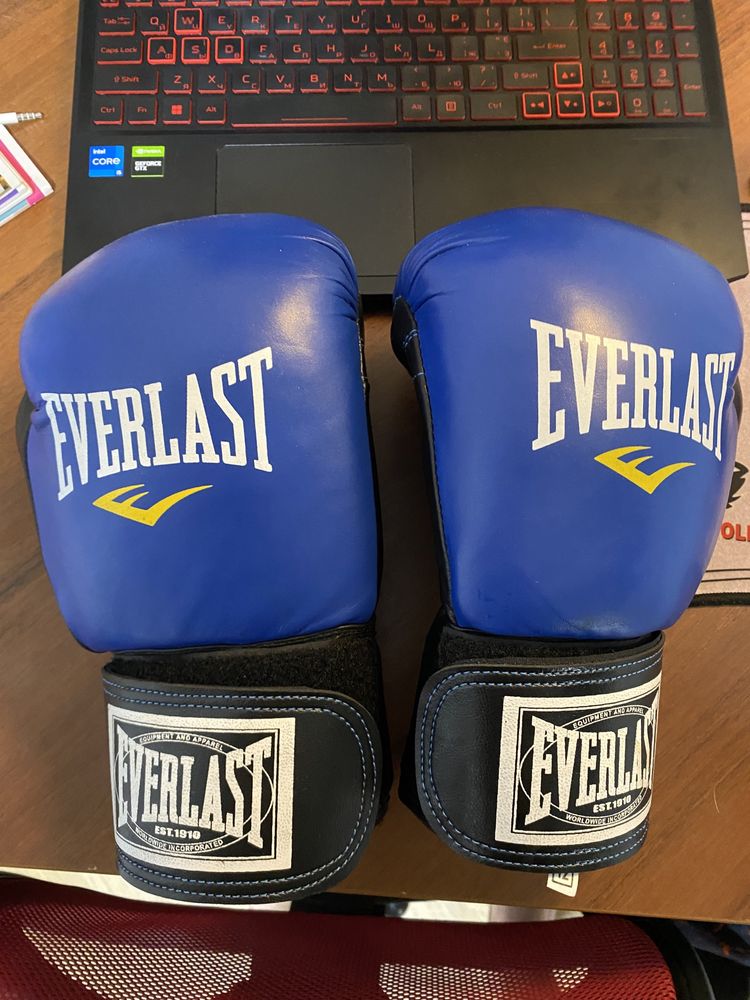 Боксерские перчатки Everlast