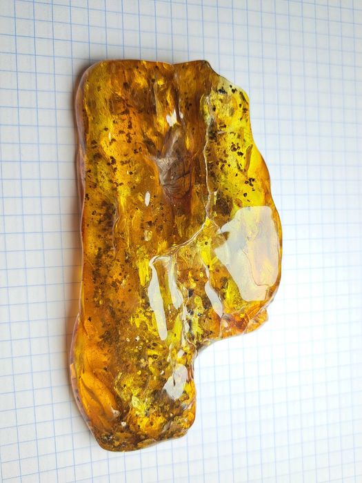 Отличный подарок.Янтарь натуральный с насекомым внутри 54,2 грамма.