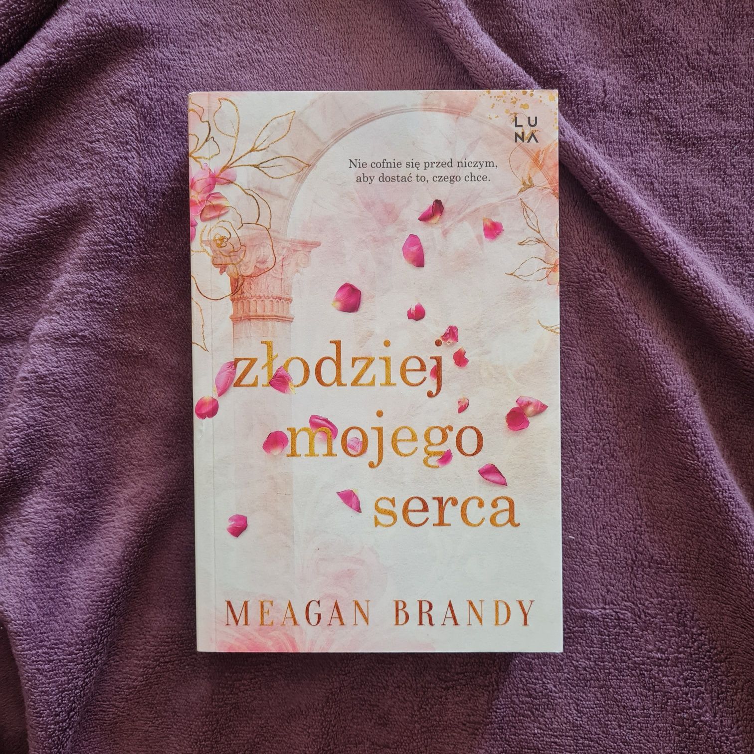 Złodziej mojego serca – Meagan Brandy – książka – 2024