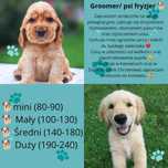 Groomer/ psi fryzjer