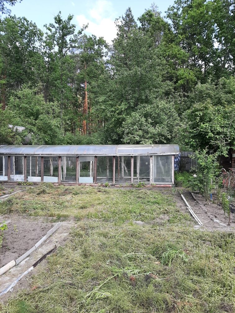 Продаж  дачі біля лісу.