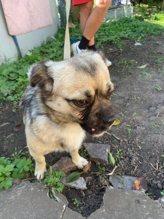 Відаємо у добрі руки