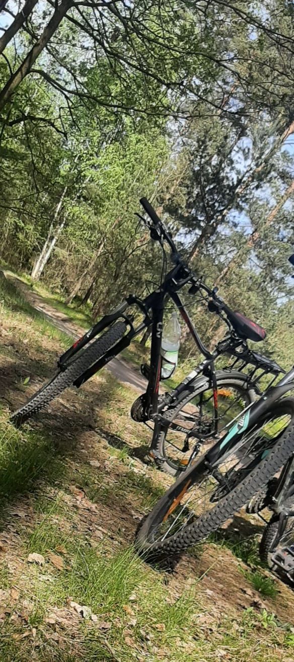 Rower damski Giant Liv Tempt