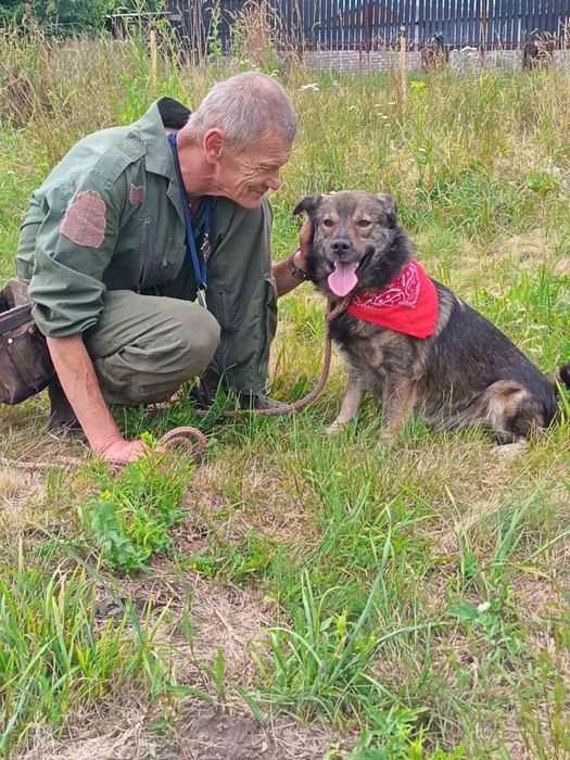 Віддам в добрі руки