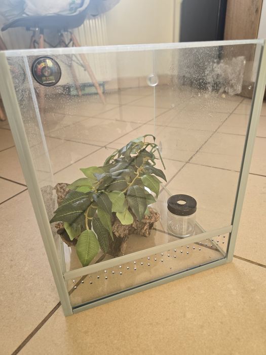 Rezerwacja Terrarium szklane