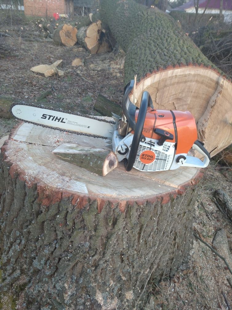 Обрізка валка аварійних дерев
